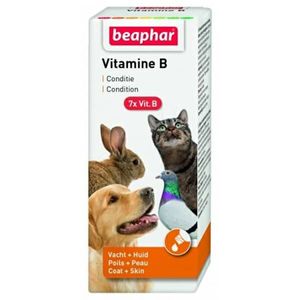 شربت ویتامین ب حیوانات بیفار کد bv50 حجم ۵۰ میلی لیتر